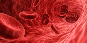 血管の中の赤血球・血液