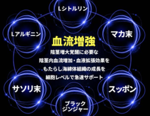 GNT-α血液増強画像