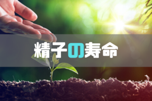 精子の寿命はある?受精可能時間など【精子】について徹底解説!