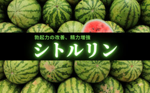 シトルリンの効果とは？勃起力の改善や精力増強効果がある成分