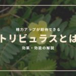 トリビュラスは効果ある?精力アップが期待できる理由とは