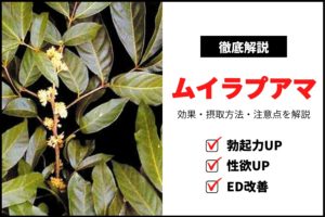 精力増強成分「ムイラプアマ」の効果・摂取方法・注意点を解説