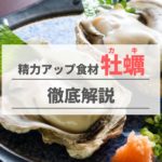 海のミルク『牡蠣(カキ)』の精力増強効果とは?おすすめの食べ方も紹介