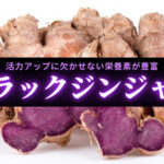 【成分解説】ブラックジンジャーの効果とは?活力アップ成分が豊富に含まれている