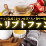 【成分解説】トリプトファンの効果とは？体内で生成できない必須アミノ酸の一種