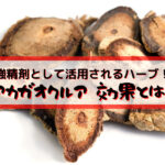 アカガウクルアは男性の強精剤として活用されるハーブ!効果や基礎知識