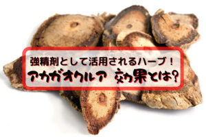 アカガウクルアは男性の強精剤として活用されるハーブ!効果や基礎知識