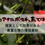 ウアナルポマチョ末とは?媚薬として効果がある貴重な精力増強素材