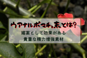 ウアナルポマチョ末とは?媚薬として効果がある貴重な精力増強素材