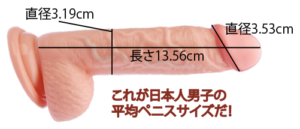 日本人男性ペニス平均サイズ画像