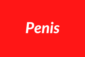 Penis画像