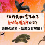 精力剤に含まれる動物原料とは?植物原料との違いや各種の紹介・効果など解説!