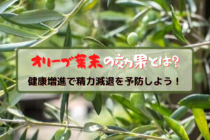 オリーブ葉末の効果は?健康増進で精力減退を予防しよう!