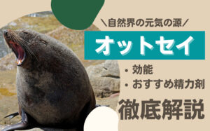 元気の源であるオットセイとは？効能・おすすめの精力剤などを解説