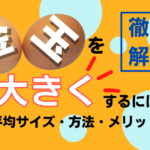 金玉を大きくする方法!平均サイズ・方法・メリットなどを徹底解説