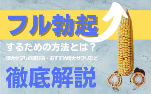 フル勃起したい人は見て！フニャチン・半勃起の改善方法