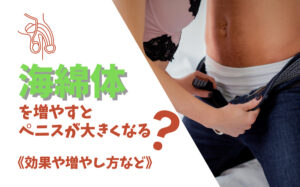海綿体を増やすとペニスが大きくなる?効果や増やし方などを解説