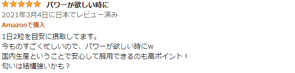 ZigMαの良い口コミ1