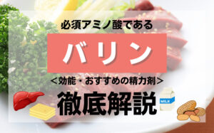 【成分解説】必須アミノ酸のバリンとは？効能・おすすめの精力剤などを解説