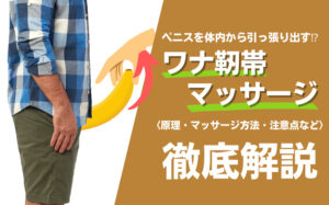 ワナ靭帯マッサージのチントレはペニス増大に効果あり