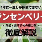 【成分解説】ジンセンベリーとは？効能・おすすめの精力剤などを解説