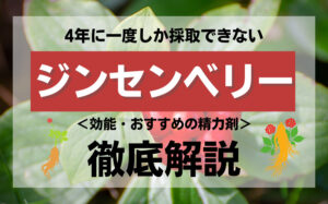 【成分解説】ジンセンベリーとは?効能・おすすめの精力剤などを解説