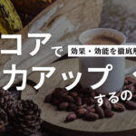 ココアで精力アップするの？効果・おすすめ精力サプリメントを解説