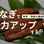 うなぎで精力アップするの?効果・おすすめ精力サプリメントを解説