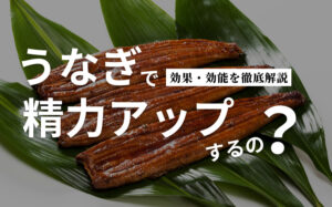 うなぎで精力アップするの?効果・おすすめ精力サプリメントを解説