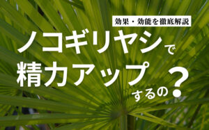 ノコギリヤシで精力アップするの？効果・おすすめ精力サプリメントを解説