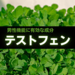 【成分解説】テストフェンとは？効能・おすすめの精力剤などを解説