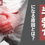 半勃ちになる原因・改善方法・女性の本音などを徹底解説