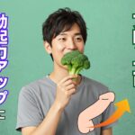 ブロッコリーは勃起力アップに効果的！効果・栄養素などを徹底解説