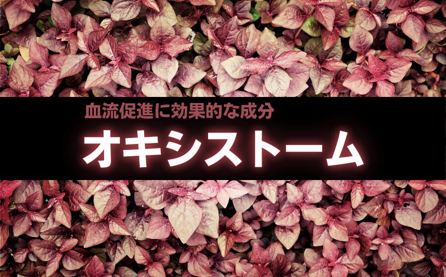 【成分解説】オキシストームとは？効能・おすすめの精力剤などを解説